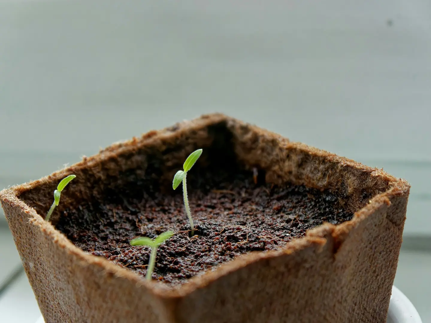 Grow Efficiently